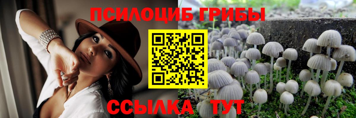Псилоцибиновые грибы мухоморы Гагарин